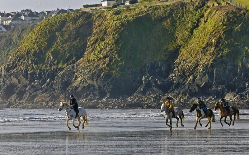 Horse Riding Tramore Waterford Beach Haven